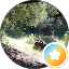 Lode Runner